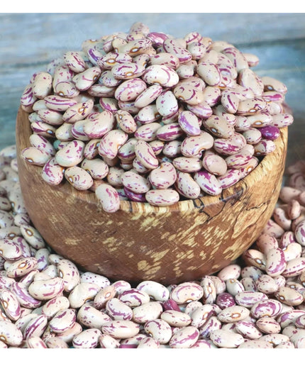 (Pinto Beans)  لوبیا چیتی