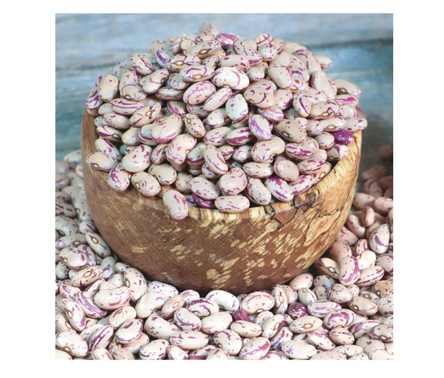 (Pinto Beans)  لوبیا چیتی