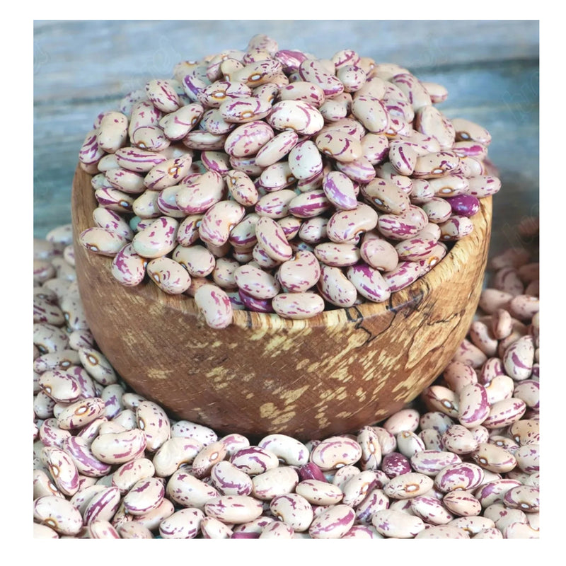 (Pinto Beans)  لوبیا چیتی