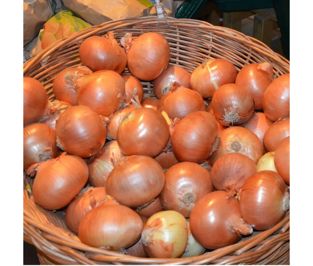 Premium Kunduz Onions
