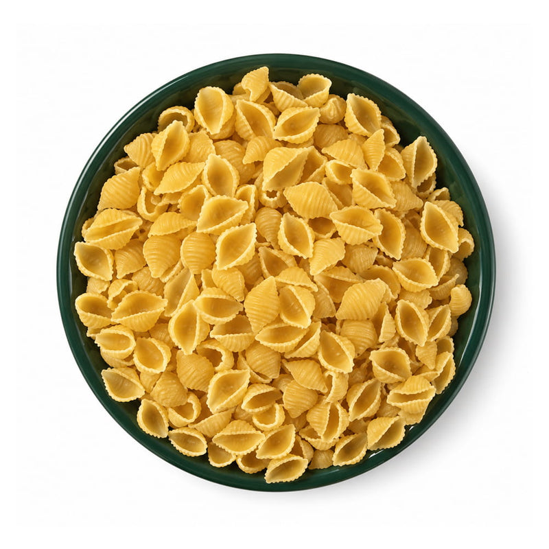 Premium Shell Pasta