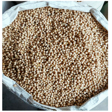 Premium Mazari Chickpeas