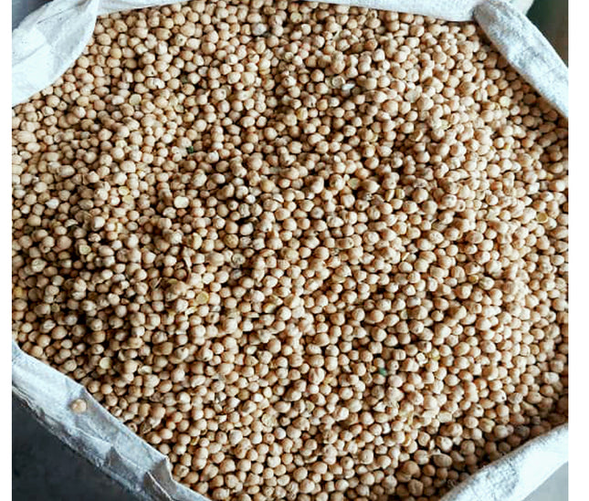 Premium Mazari Chickpeas