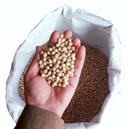 Premium Mazari Chickpeas