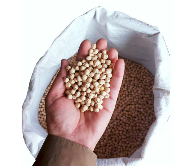 Premium Mazari Chickpeas